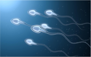 患有少精症可以选择试管婴儿吗年龄会影响生育吗