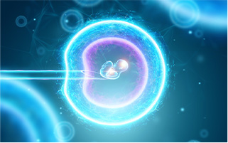 试管婴儿治疗通过什么方法可以改善子宫内膜环境