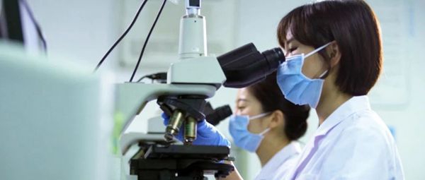 10000+家庭受益！揭开免疫保胎的神秘面纱