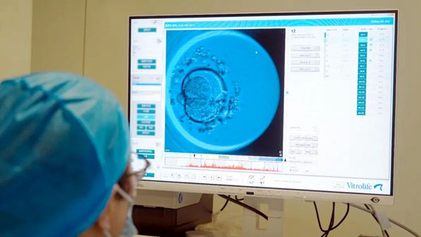 您的胚胎宝宝，在实验室里经历了啥？揭秘好孕的“隐形守护者”！