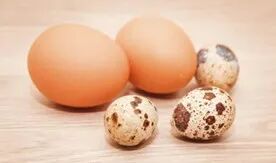 “蛋蛋”越大，那方面越强？真相可能让你意想不到哦！